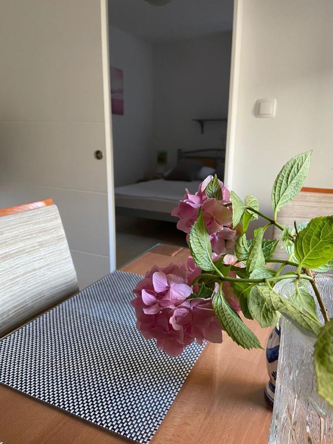 Duje & Roko Apartments Šibenik Dış mekan fotoğraf