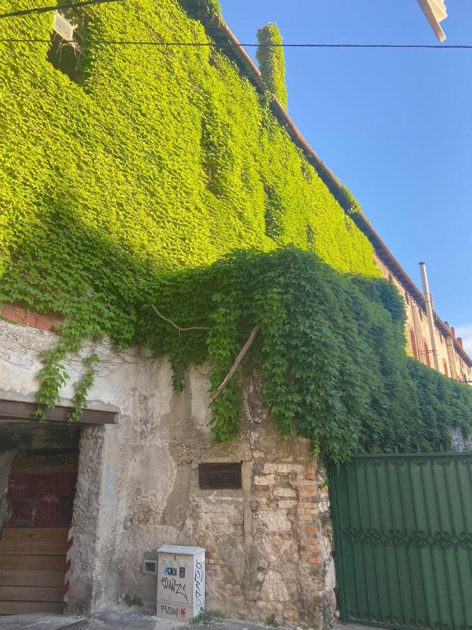Duje & Roko Apartments Šibenik Dış mekan fotoğraf